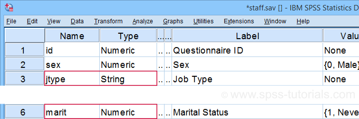 SPSS Staff Data Variable View