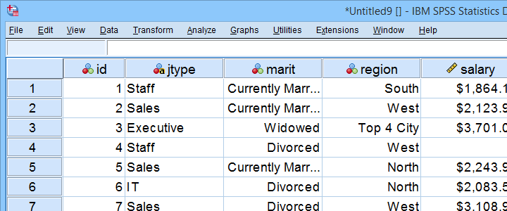 Vue des données du personnel SPSS