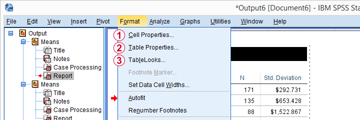 SPSS Table Editor Format Menu