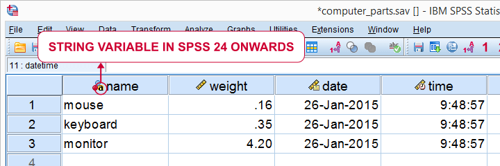 SPSS Variable Types and Formats as Icons in Variable Headers