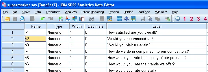 SPSS Variable View