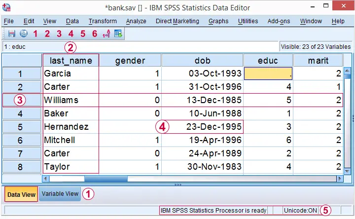 View Statistics