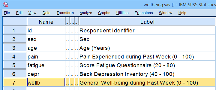 SPSS Wellbeing Variable View