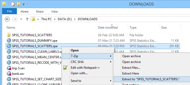 Unzip SPSS Extension File